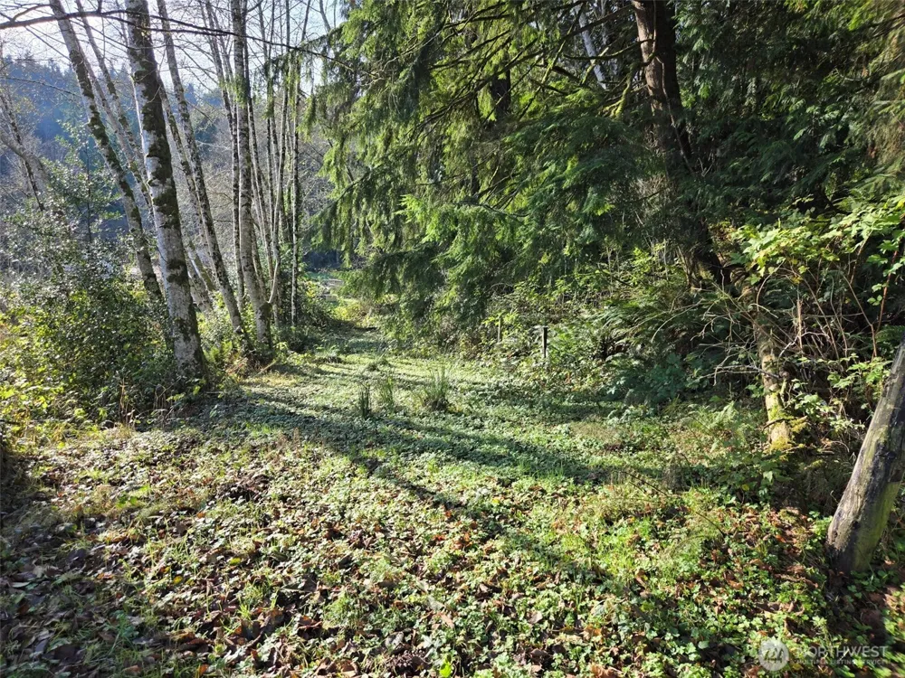 0 NKA Kendrick and Wier Street South Bend, WA 98586