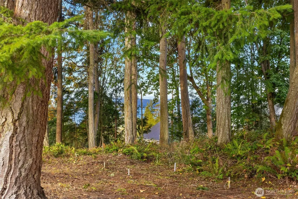 34464 Bridge View Drive NE Kingston, WA 98346