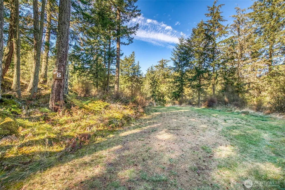212 Eagle Lake Lane Orcas Island, WA 98280
