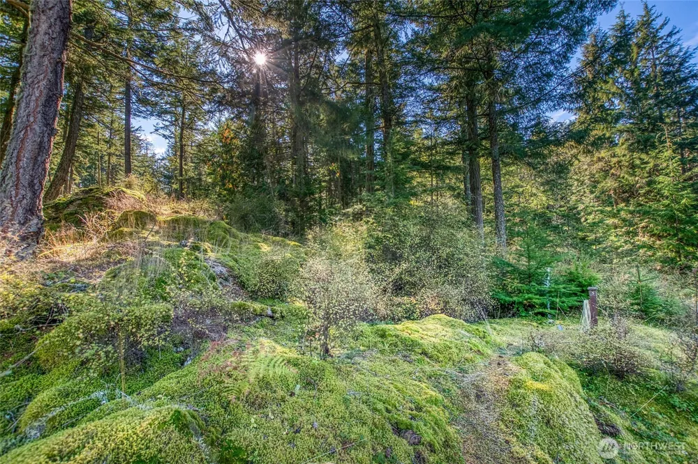 212 Eagle Lake Lane Orcas Island, WA 98280