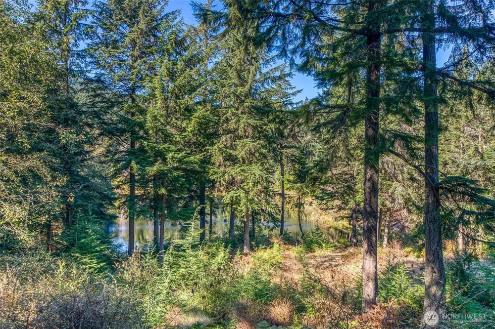 212 Eagle Lake Lane Orcas Island, WA 98280