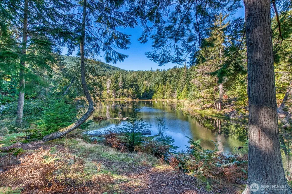 212 Eagle Lake Lane Orcas Island, WA 98280