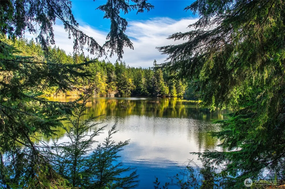 212 Eagle Lake Lane Orcas Island, WA 98280