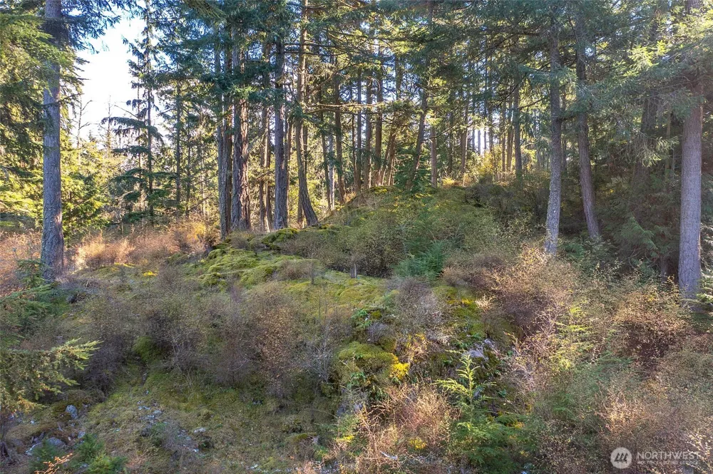212 Eagle Lake Lane Orcas Island, WA 98280