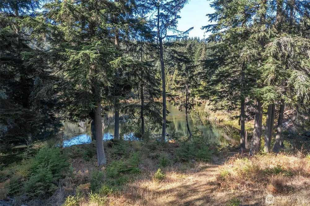 212 Eagle Lake Lane Orcas Island, WA 98280