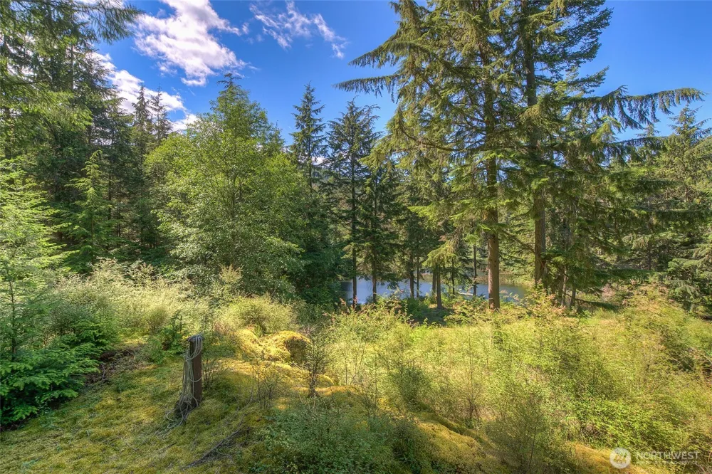212 Eagle Lake Lane Orcas Island, WA 98280
