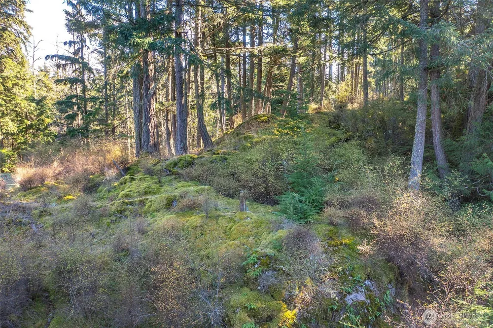 212 Eagle Lake Lane Orcas Island, WA 98280