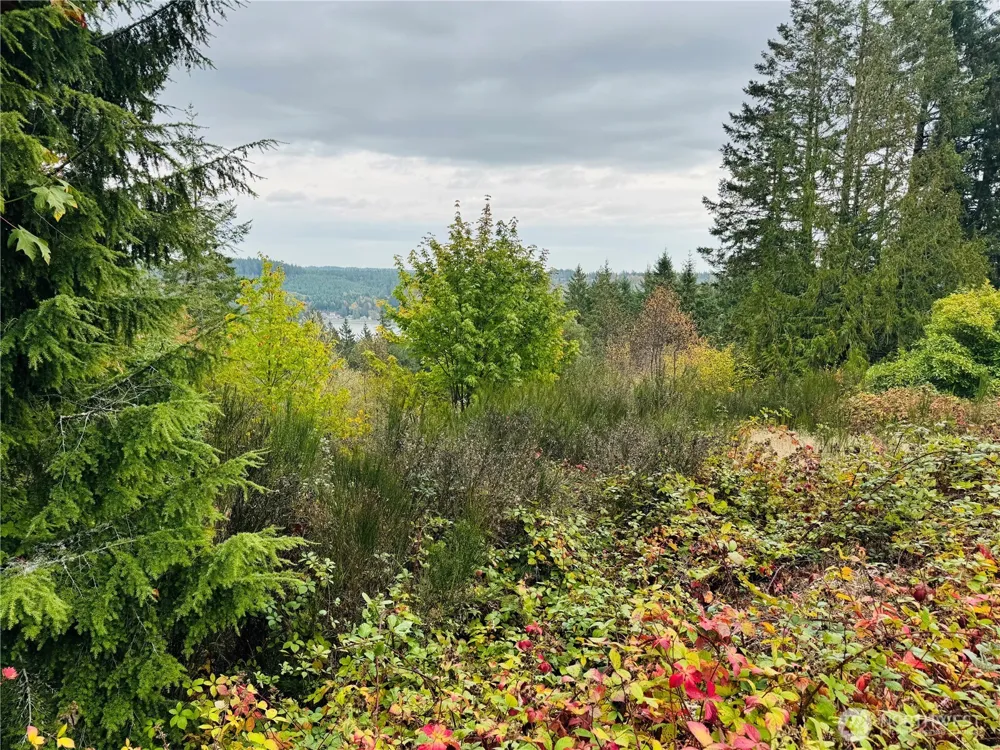 181 E Rainier Court Allyn, WA 98524