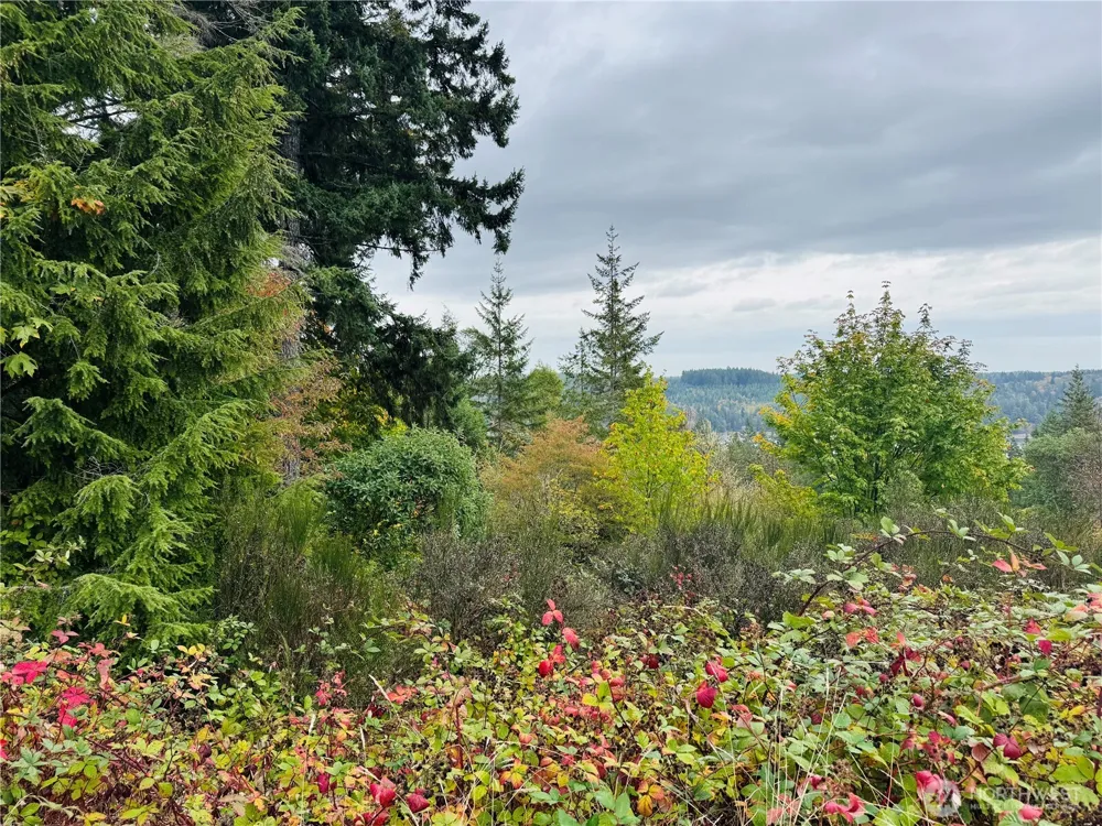181 E Rainier Court Allyn, WA 98524