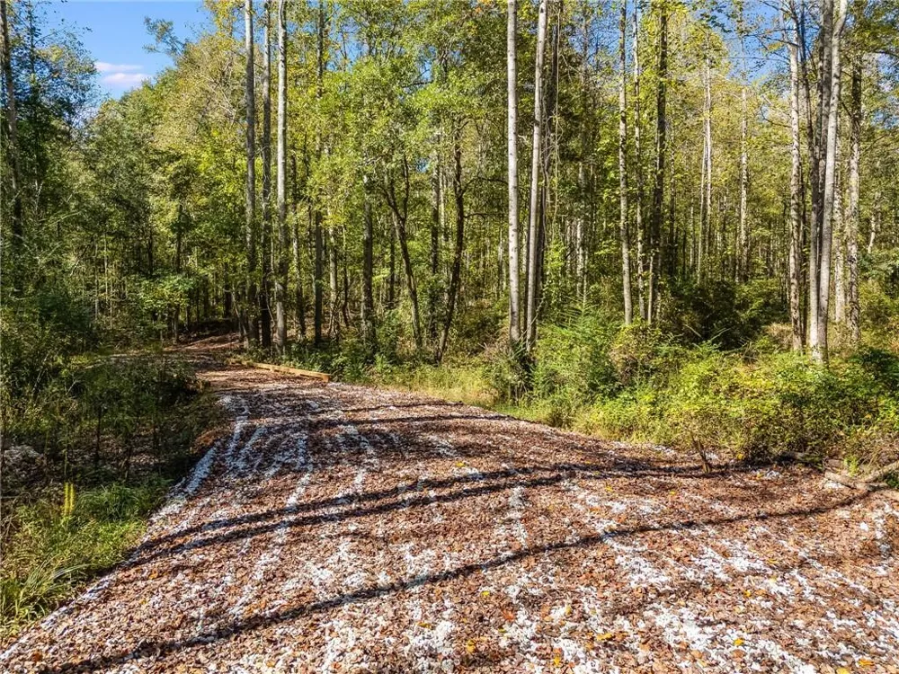 0000 Hog Liver Road Carrollton, GA 30117