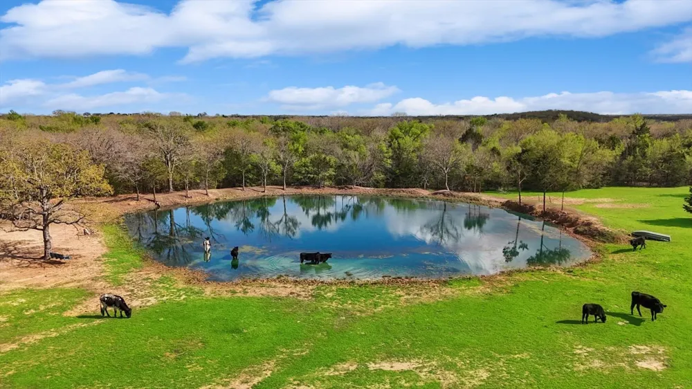 812 Mckenzie Road Tioga, TX 76271