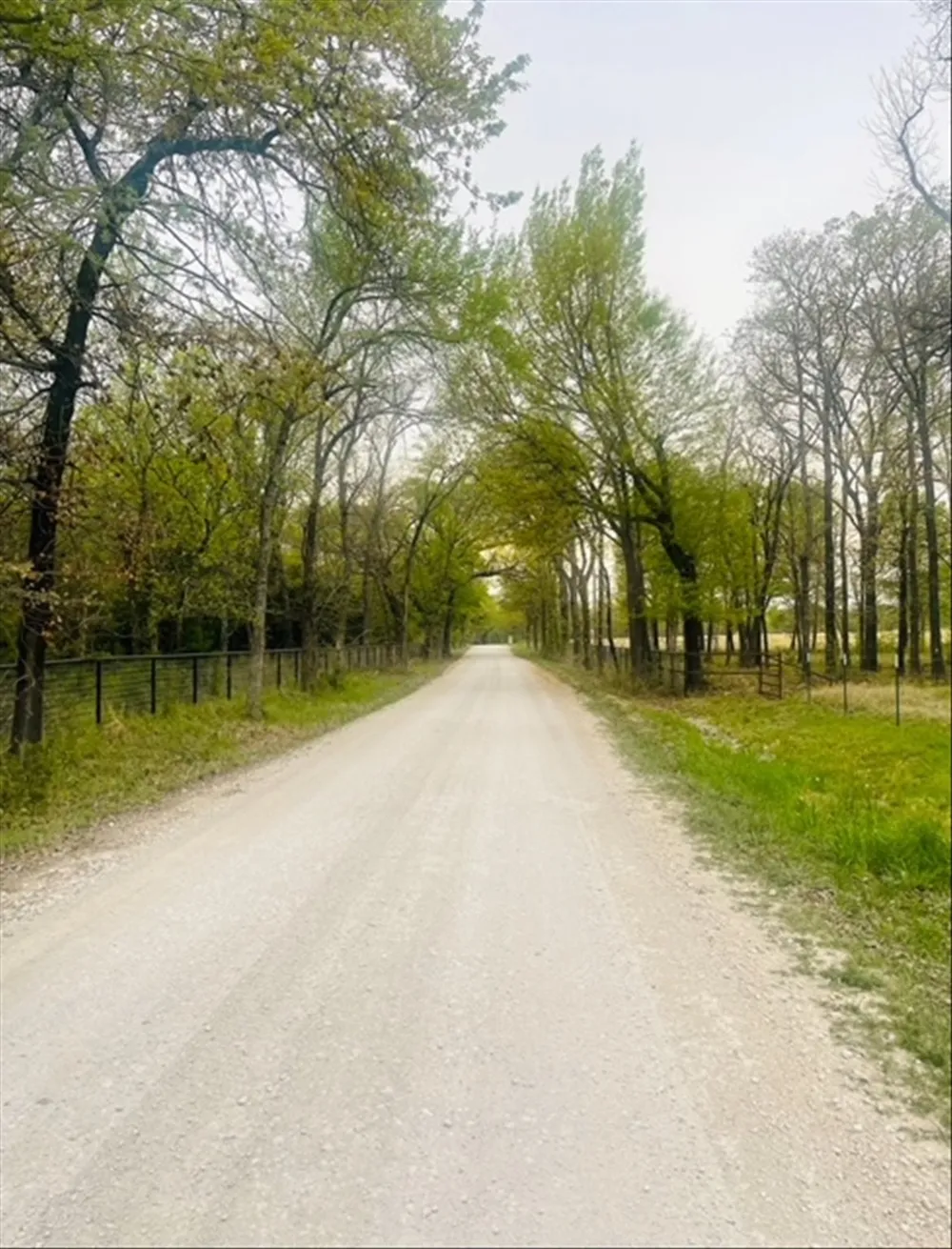 812 Mckenzie Road Tioga, TX 76271