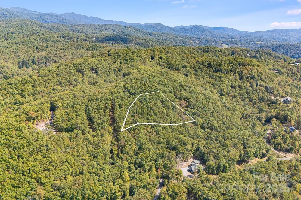 111 Wild Turkey Loop Marshall, NC 28753