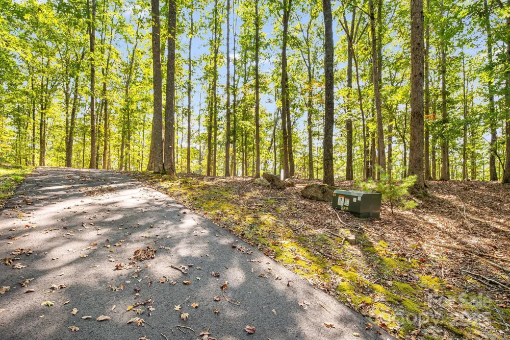 111 Wild Turkey Loop Marshall, NC 28753