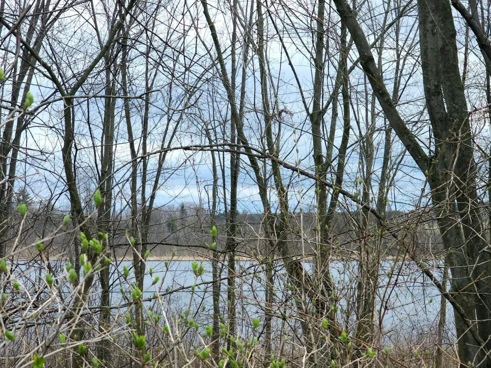 Derby Road Six Lakes, MI 48886