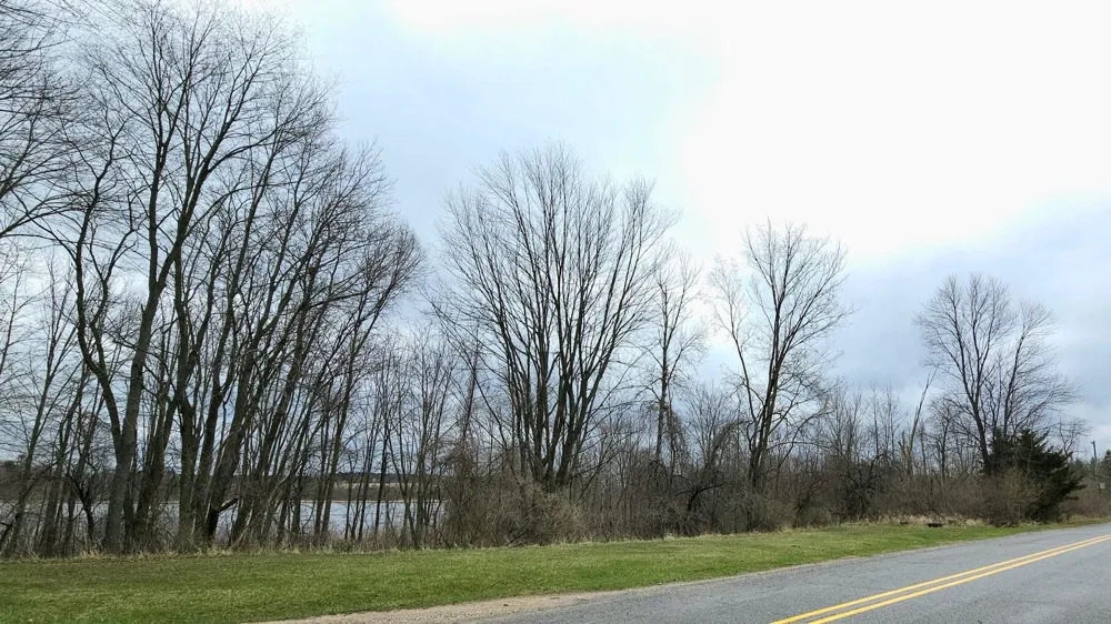 Derby Road Six Lakes, MI 48886