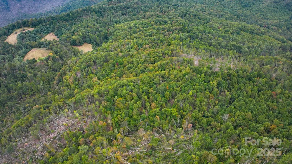 999 Poplar Creek Road Green Mountain, NC 28740