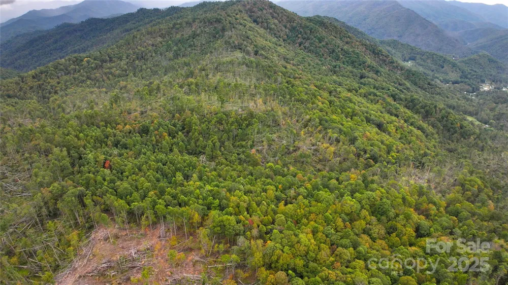 999 Poplar Creek Road Green Mountain, NC 28740