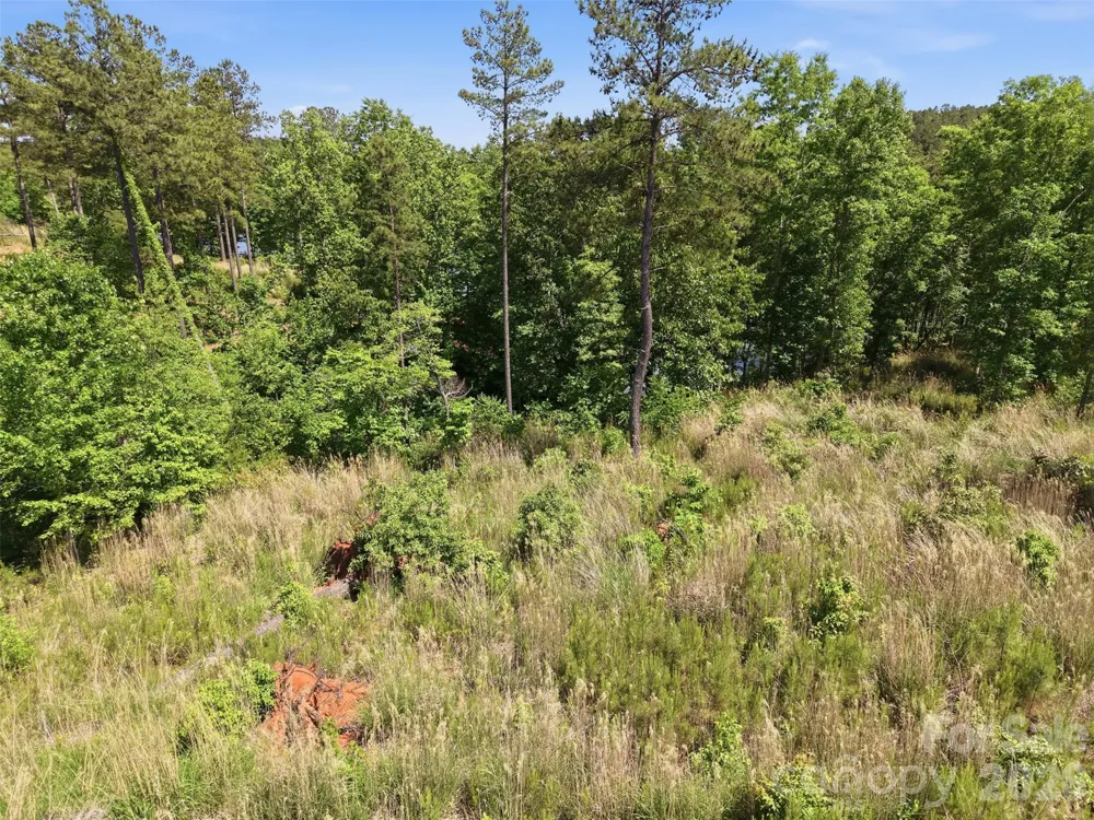 2326 Princeton Mountain #69 Connelly Springs, NC 28612