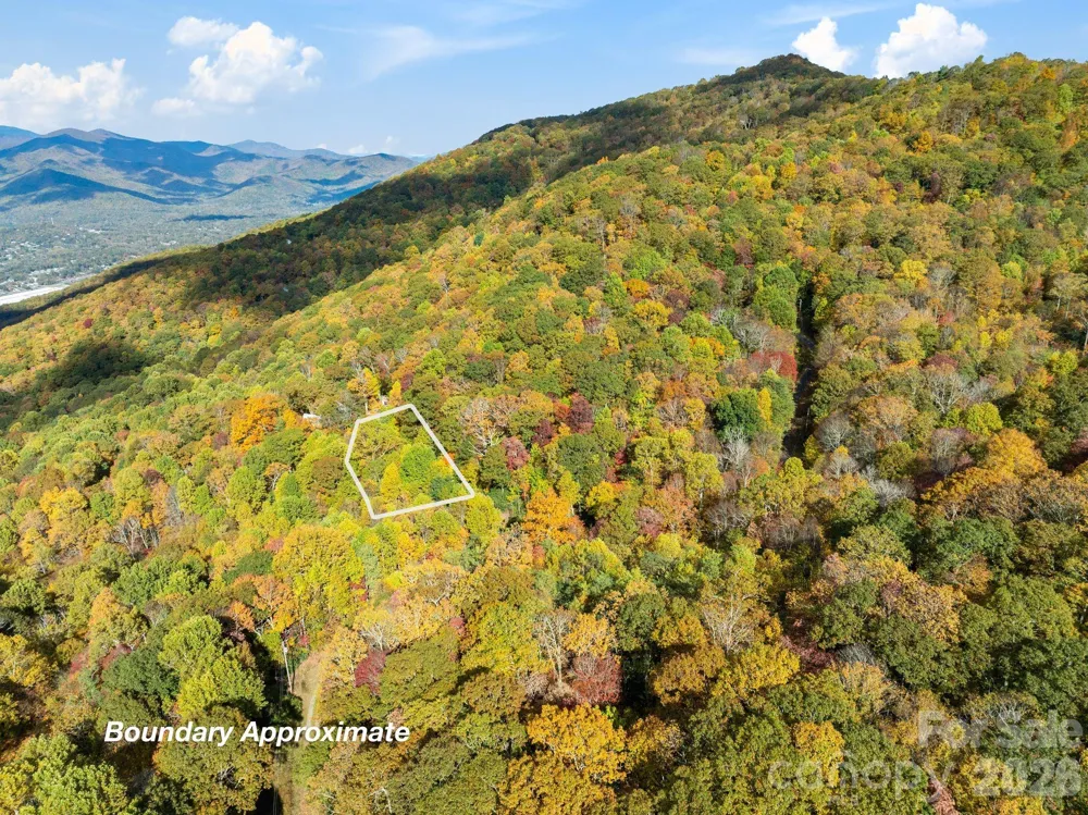 99999 Lytle Cove Road Swannanoa, NC 28778
