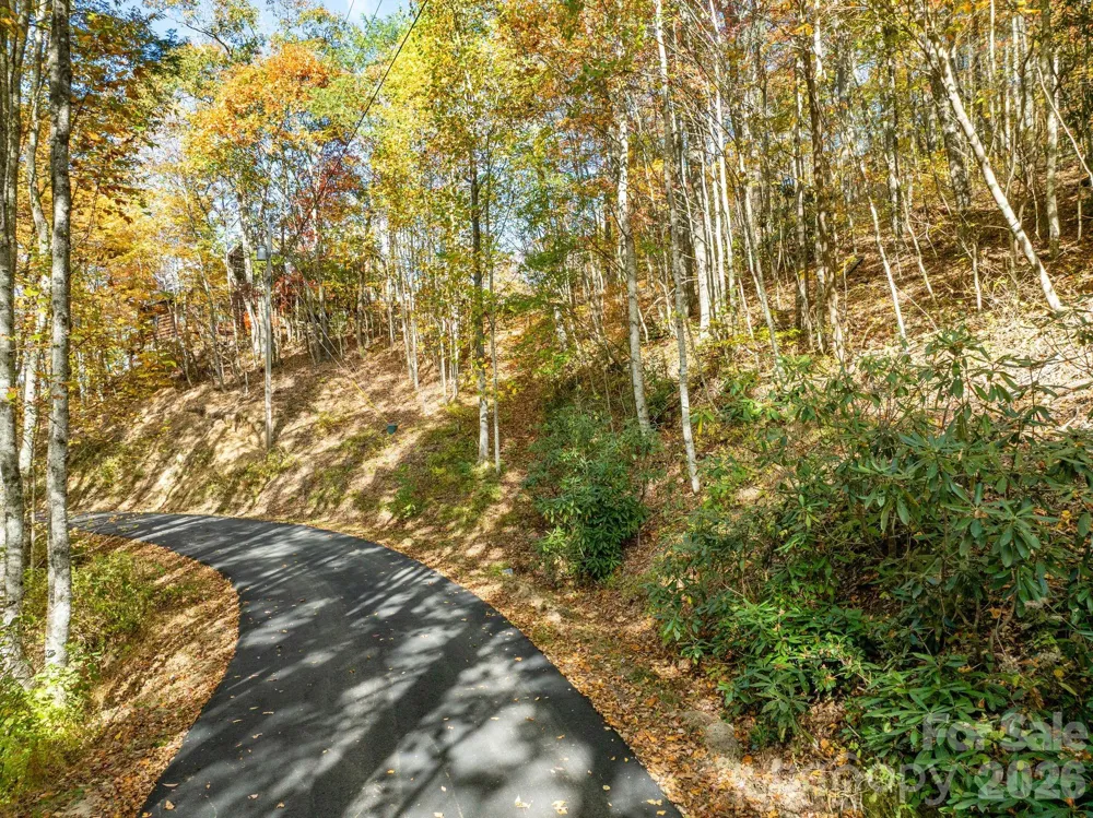99999 Lytle Cove Road Swannanoa, NC 28778