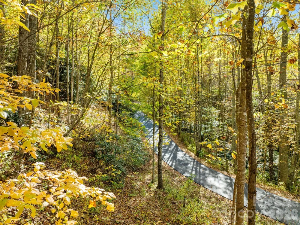 99999 Lytle Cove Road Swannanoa, NC 28778