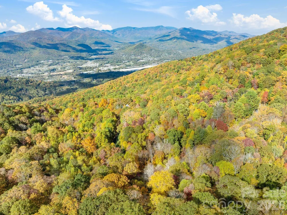 99999 Lytle Cove Road Swannanoa, NC 28778