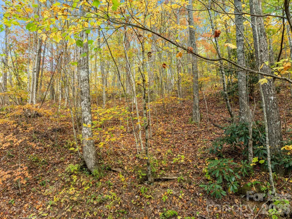 99999 Lytle Cove Road Swannanoa, NC 28778
