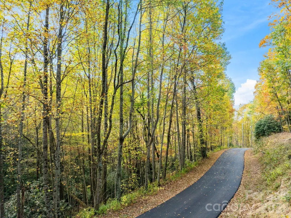 99999 Lytle Cove Road Swannanoa, NC 28778