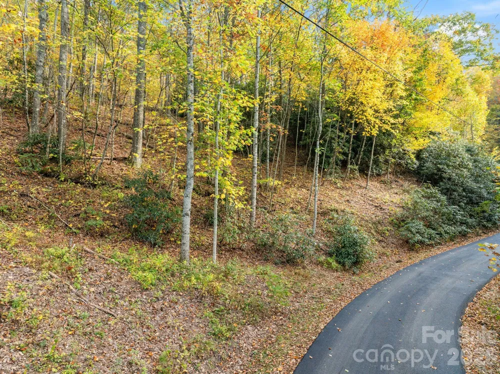 99999 Lytle Cove Road Swannanoa, NC 28778