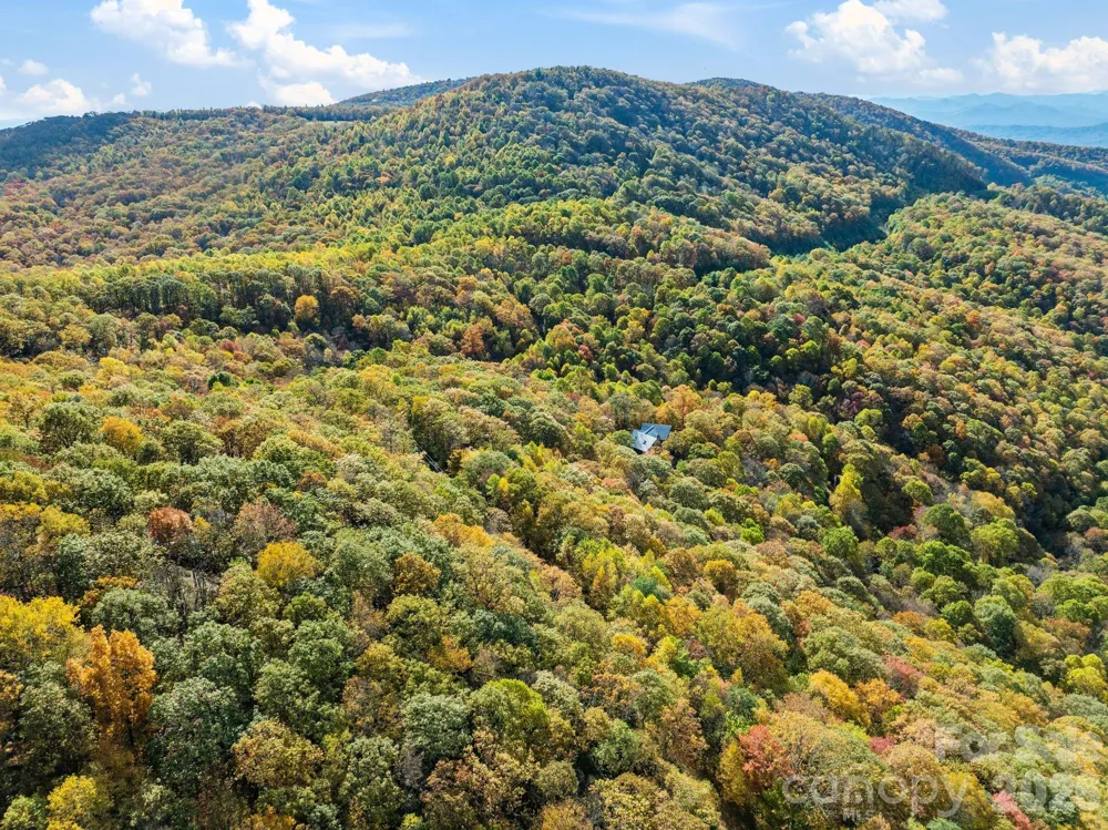 99999 Lytle Cove Road Swannanoa, NC 28778