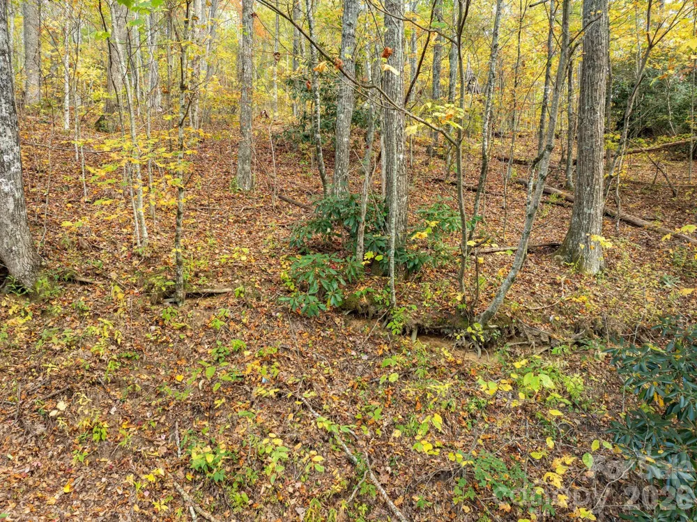 99999 Lytle Cove Road Swannanoa, NC 28778