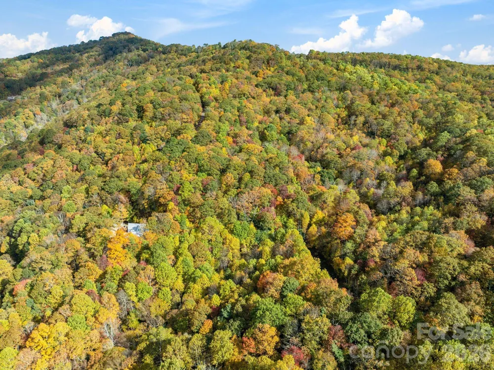 99999 Lytle Cove Road Swannanoa, NC 28778