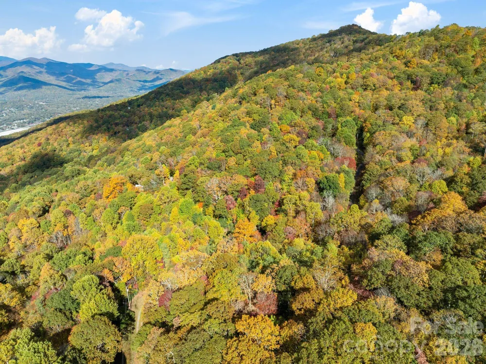 99999 Lytle Cove Road Swannanoa, NC 28778