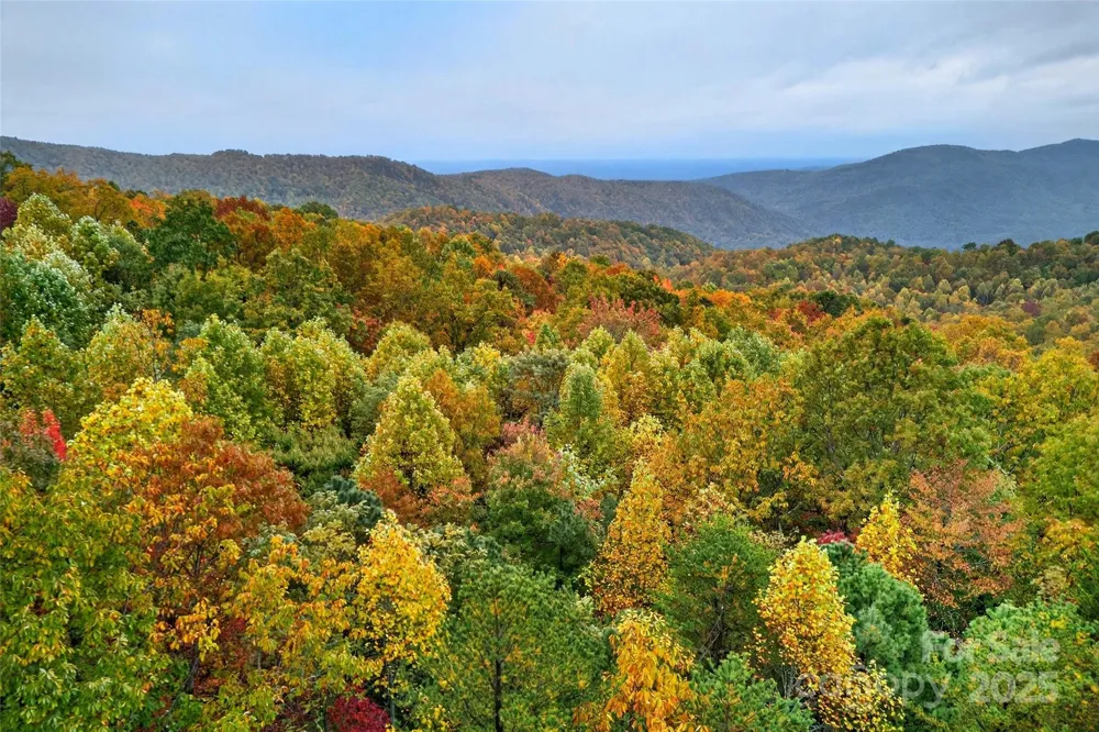 368 Sassafras Drive #726 Old Fort, NC 28762