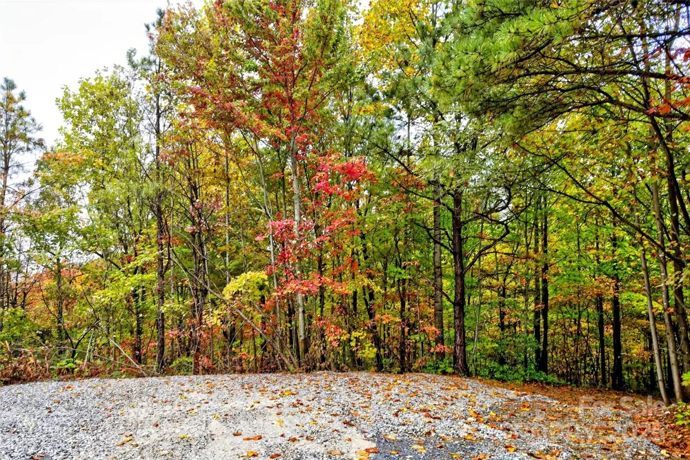 368 Sassafras Drive #726 Old Fort, NC 28762