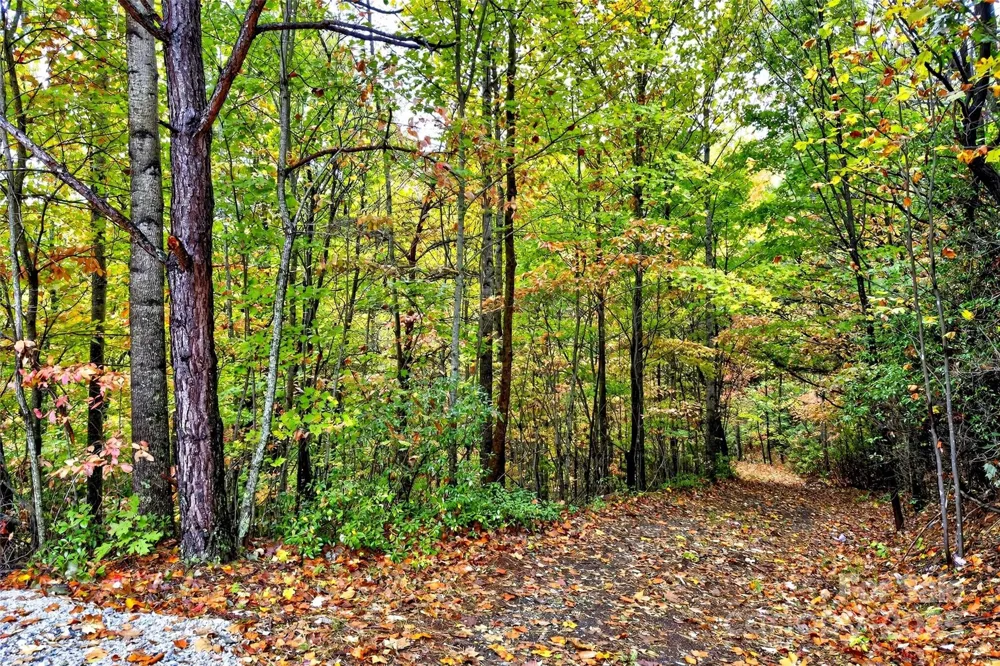 368 Sassafras Drive #726 Old Fort, NC 28762