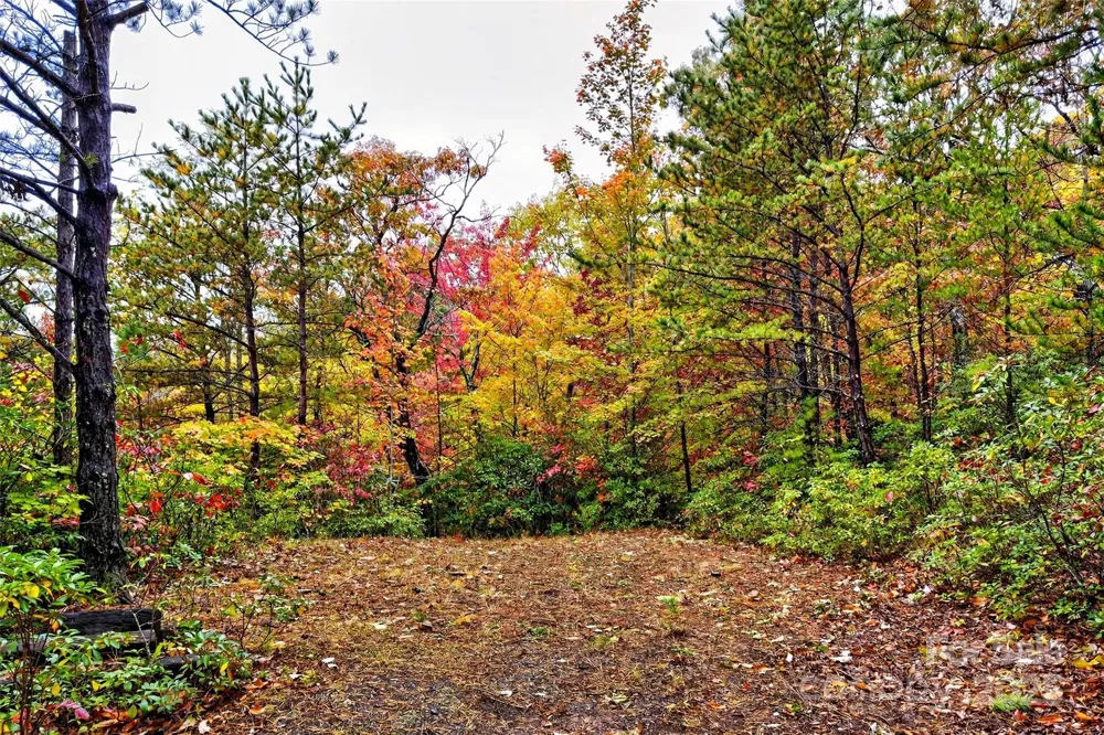 368 Sassafras Drive #726 Old Fort, NC 28762