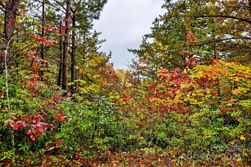 368 Sassafras Drive #726 Old Fort, NC 28762