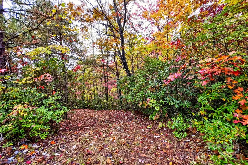 368 Sassafras Drive #726 Old Fort, NC 28762