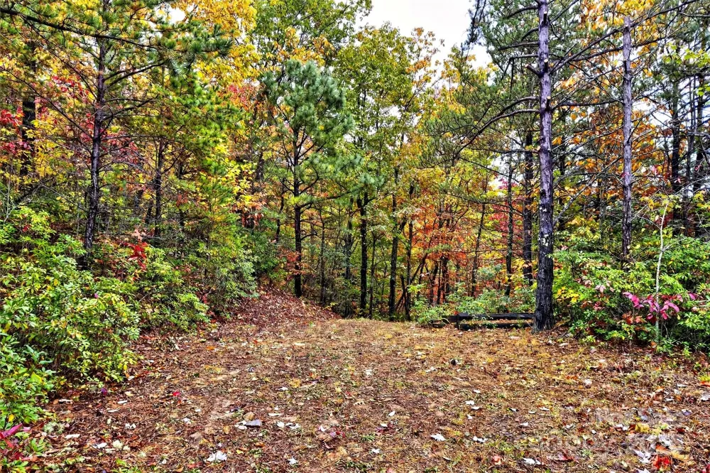 368 Sassafras Drive #726 Old Fort, NC 28762