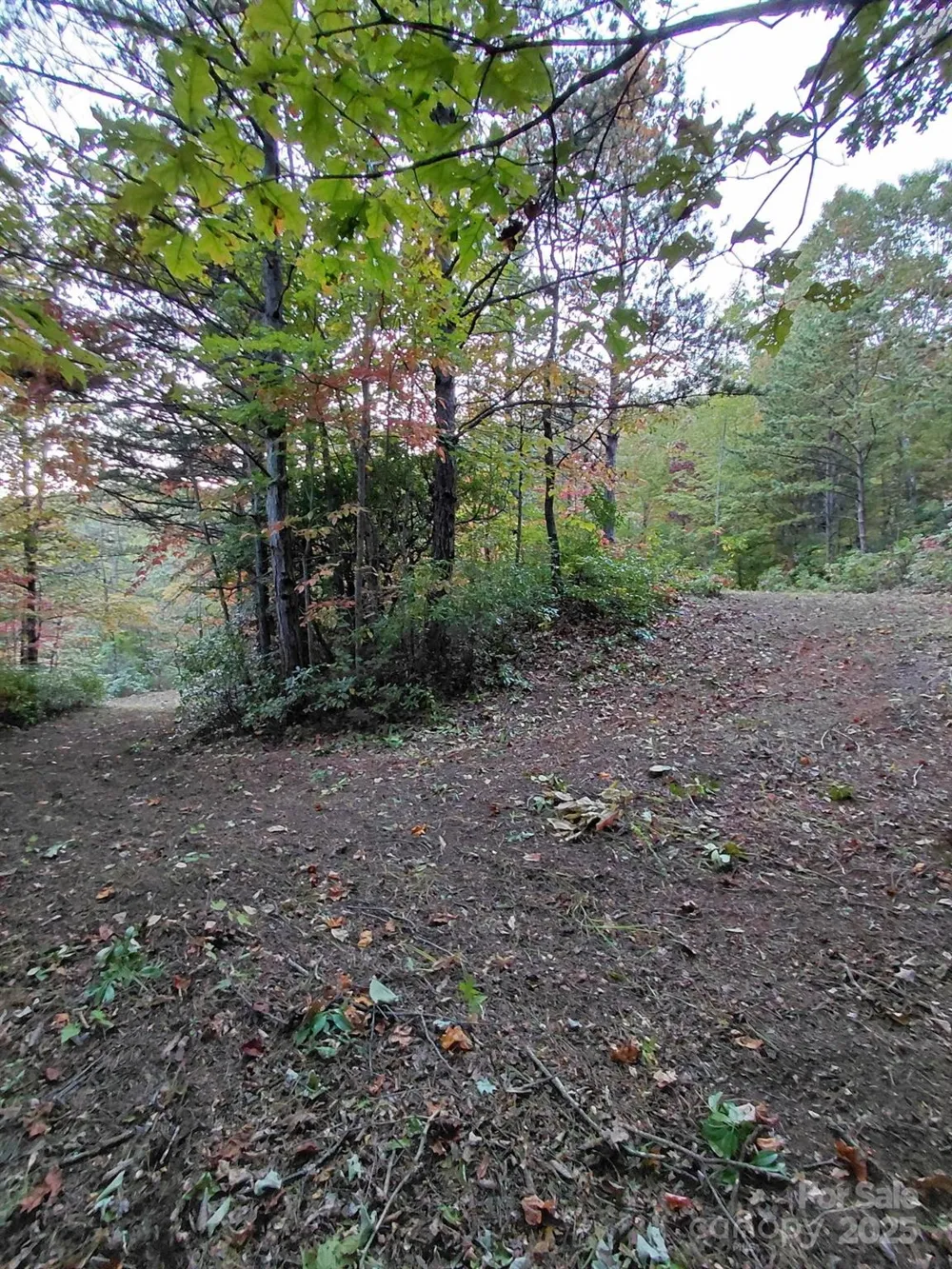 368 Sassafras Drive #726 Old Fort, NC 28762