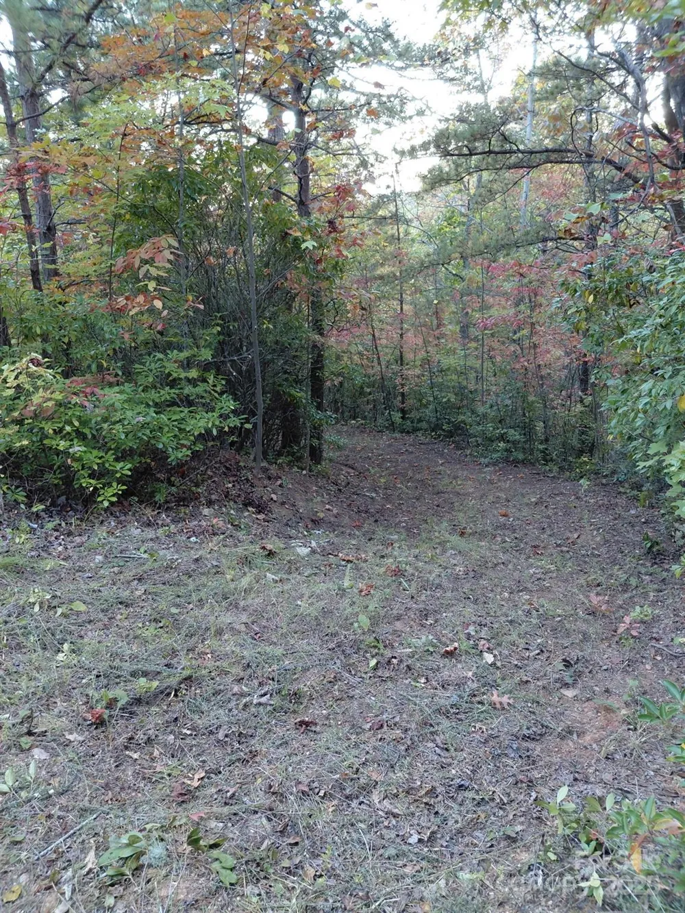 368 Sassafras Drive #726 Old Fort, NC 28762