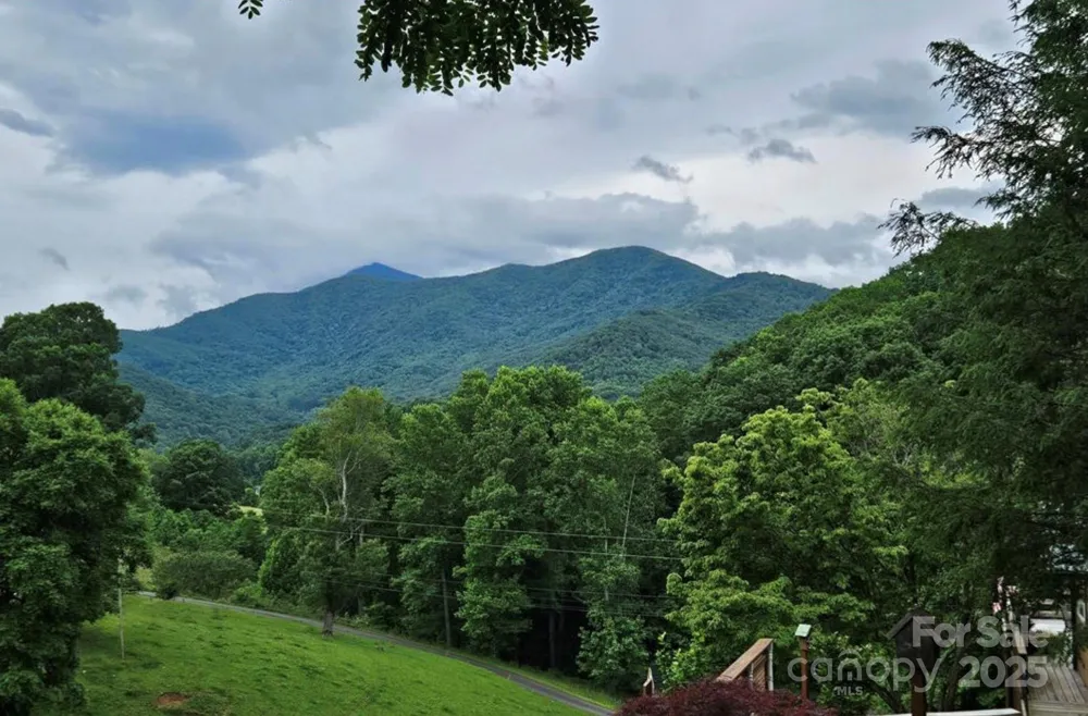 Lot 3 Mountain View Road Burnsville, NC 28714