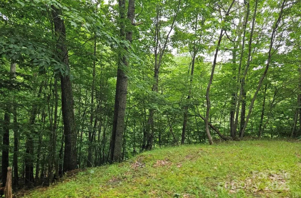 Lot 3 Mountain View Road Burnsville, NC 28714
