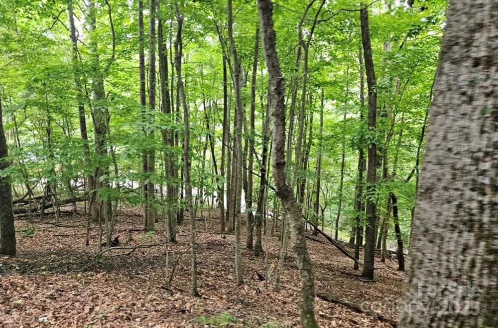 Lot 3 Mountain View Road Burnsville, NC 28714