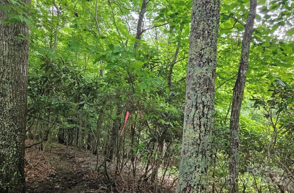 Lot 3 Mountain View Road Burnsville, NC 28714
