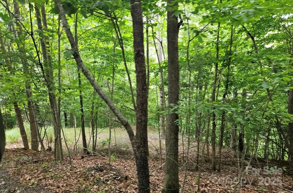 Lot 3 Mountain View Road Burnsville, NC 28714