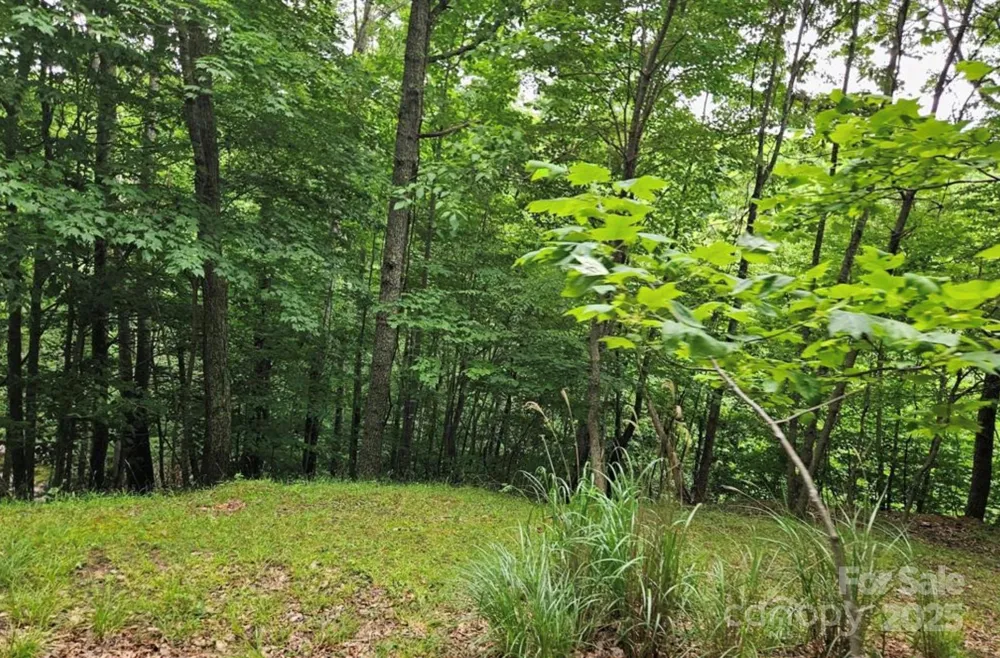 Lot 3 Mountain View Road Burnsville, NC 28714