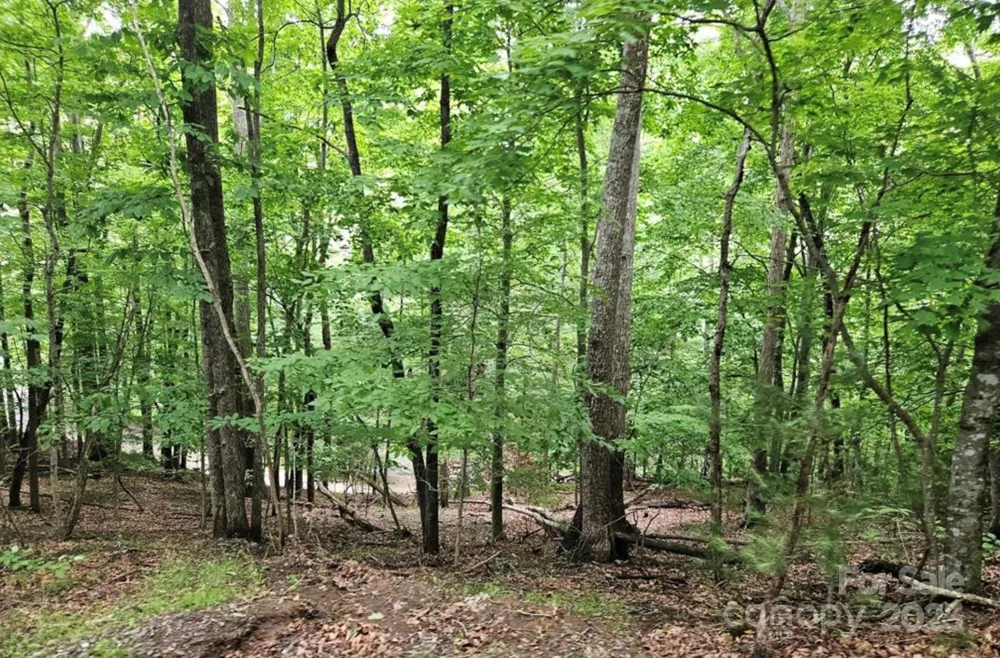 Lot 3 Mountain View Road Burnsville, NC 28714
